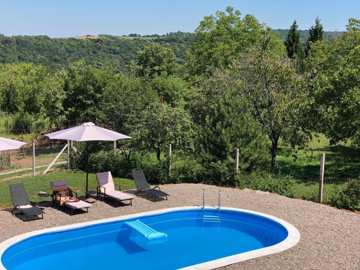 Fruska Pool House Villa Sremska Kamenica ภายนอก รูปภาพ