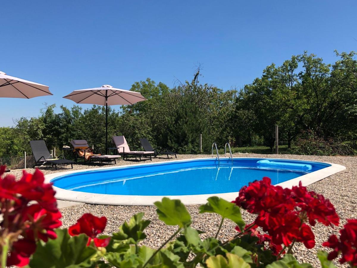 Fruska Pool House Villa Sremska Kamenica ภายนอก รูปภาพ