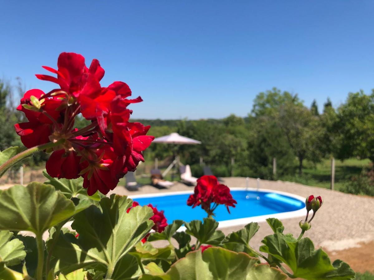 Fruska Pool House Villa Sremska Kamenica ภายนอก รูปภาพ