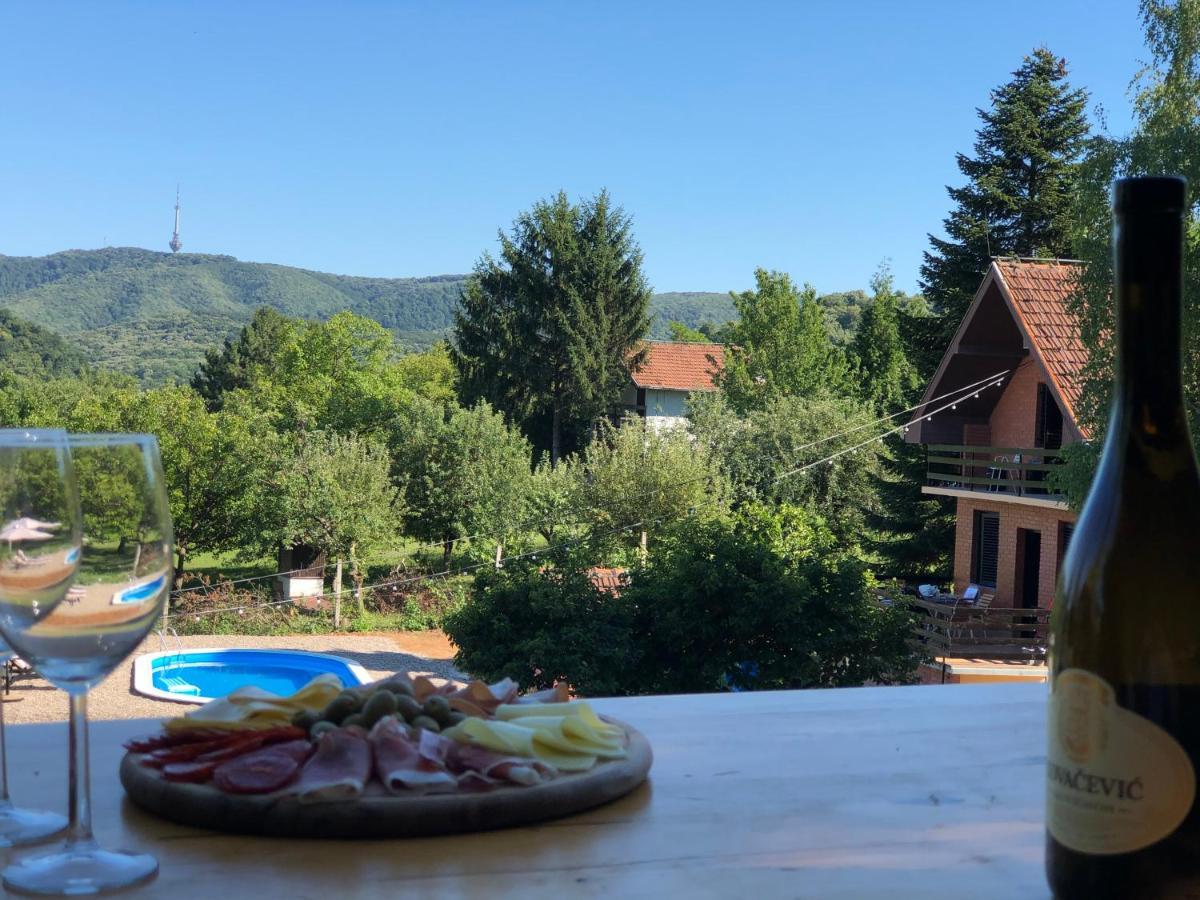 Fruska Pool House Villa Sremska Kamenica ภายนอก รูปภาพ