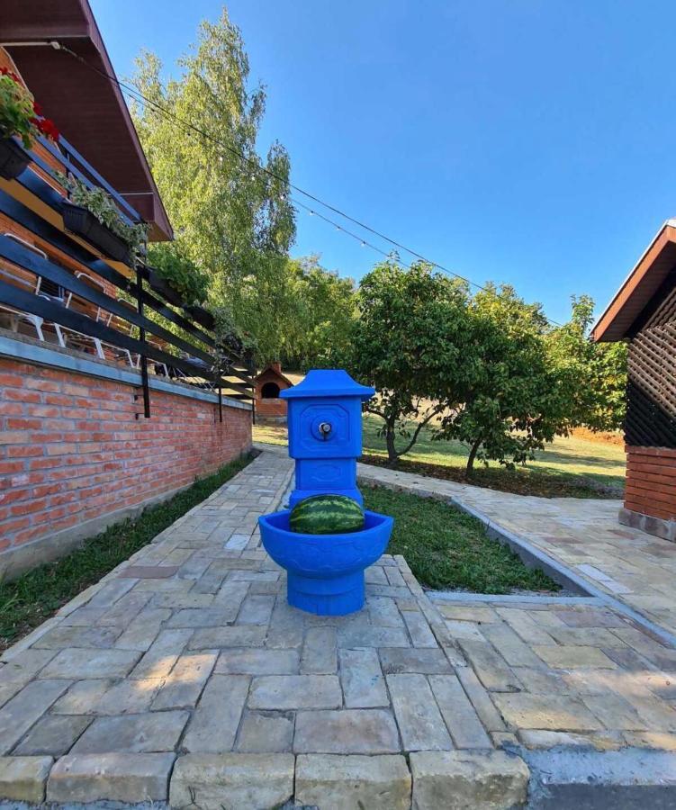 Fruska Pool House Villa Sremska Kamenica ภายนอก รูปภาพ