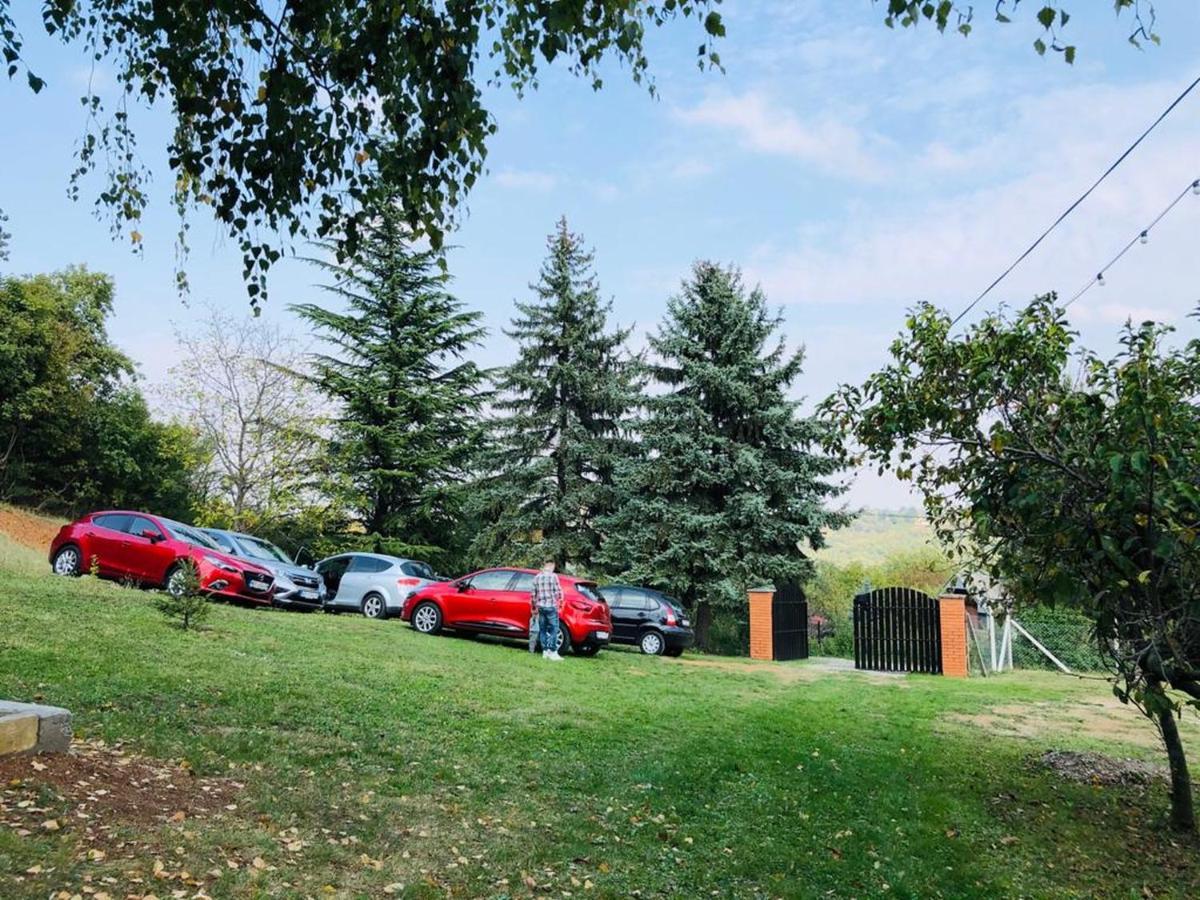 Fruska Pool House Villa Sremska Kamenica ภายนอก รูปภาพ