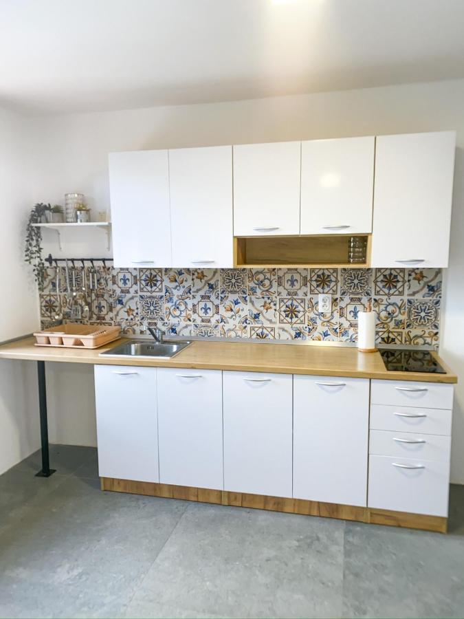 Fruska Pool House Villa Sremska Kamenica ภายนอก รูปภาพ