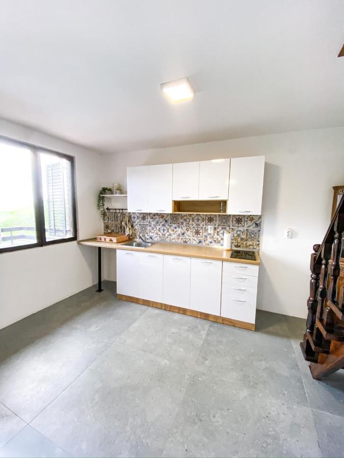 Fruska Pool House Villa Sremska Kamenica ภายนอก รูปภาพ