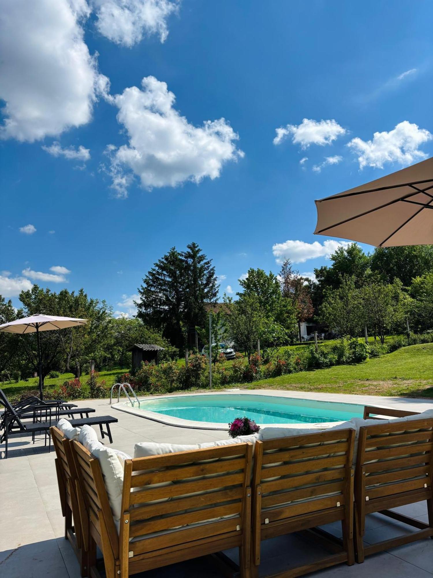 Fruska Pool House Villa Sremska Kamenica ภายนอก รูปภาพ
