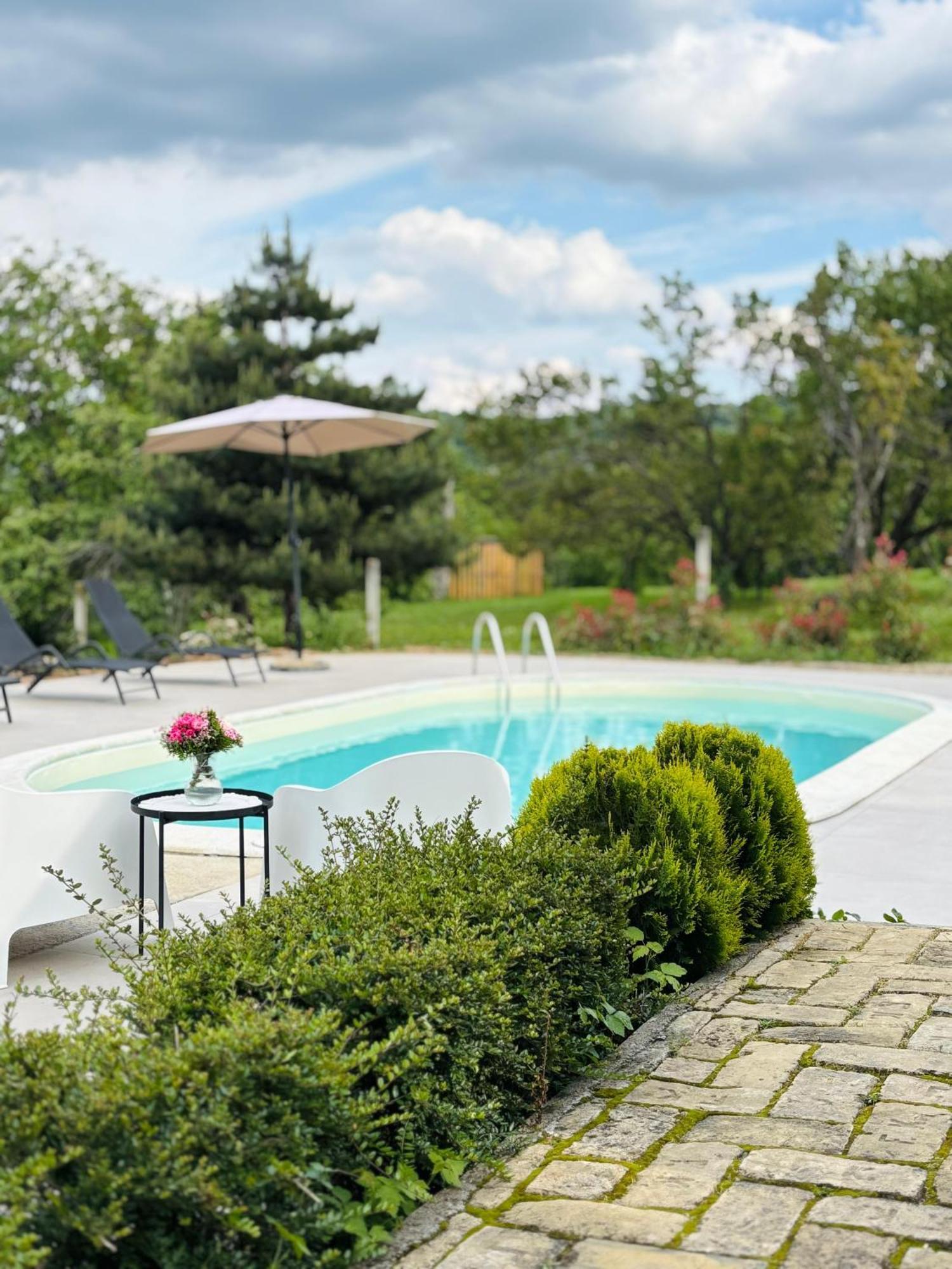 Fruska Pool House Villa Sremska Kamenica ภายนอก รูปภาพ